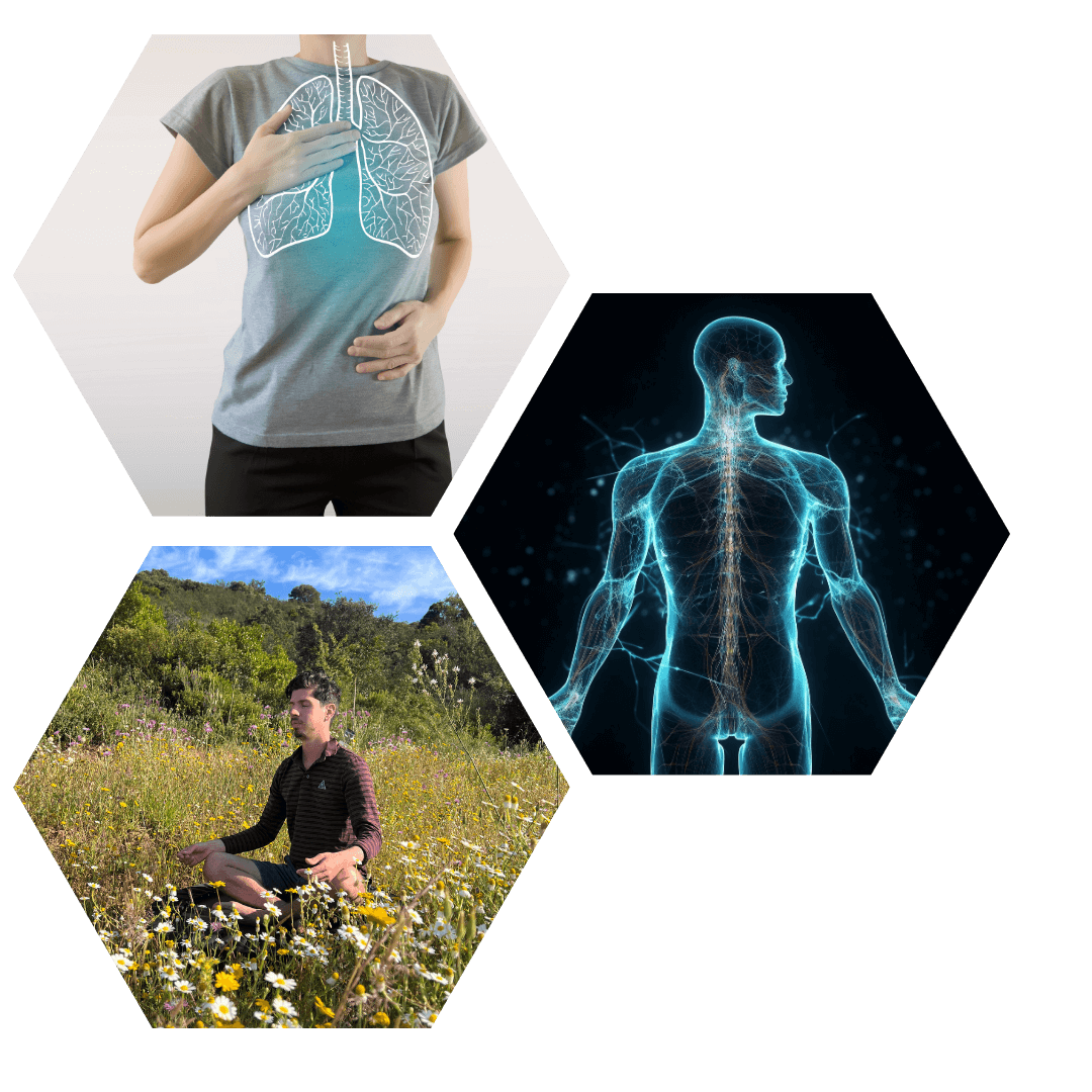 The Nervous System Journey (1)